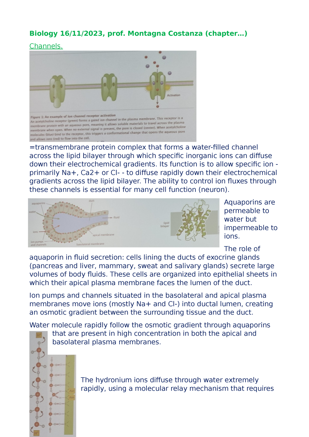 Biology 16-11-2023 - Channels And Ion Channels, Neurons And ...