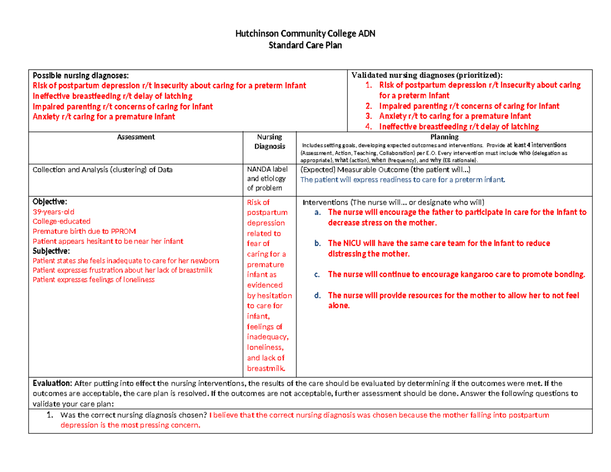 Care Plan 2 - Hutchinson Community College ADN Standard Care Plan ...