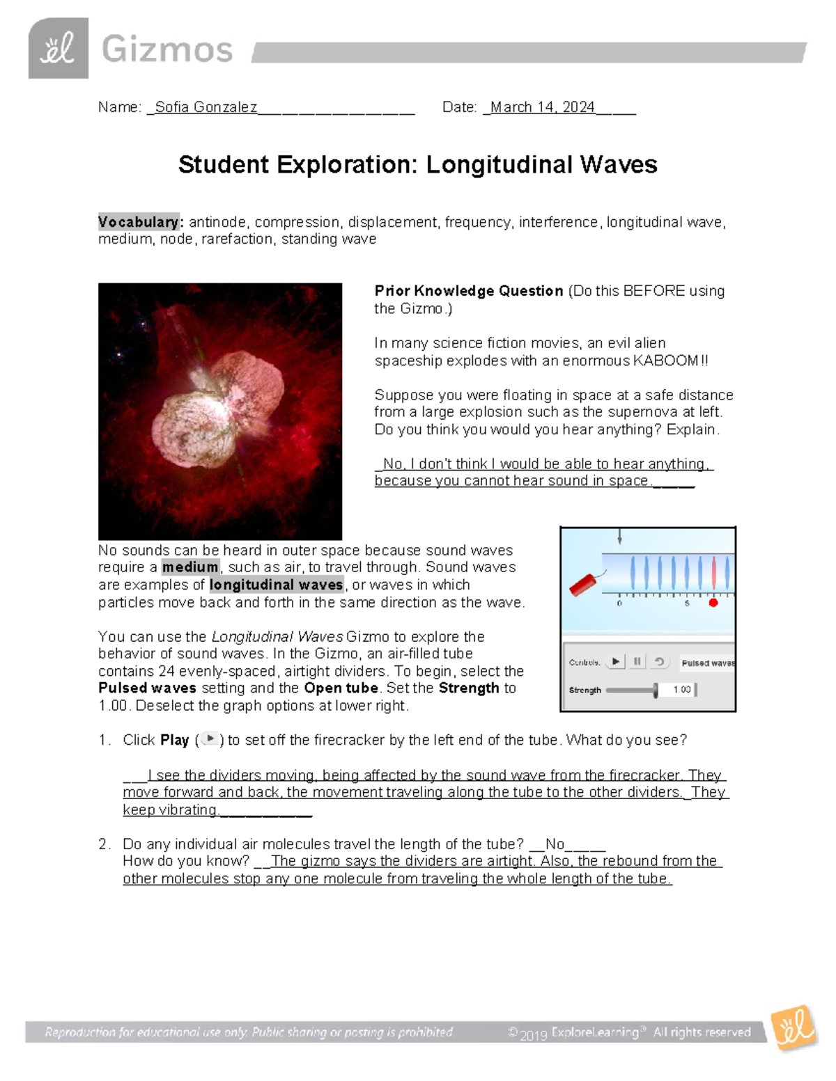Longitudinal Waves SE Sofia gonzalez - Name: Sofia Gonzalez ...