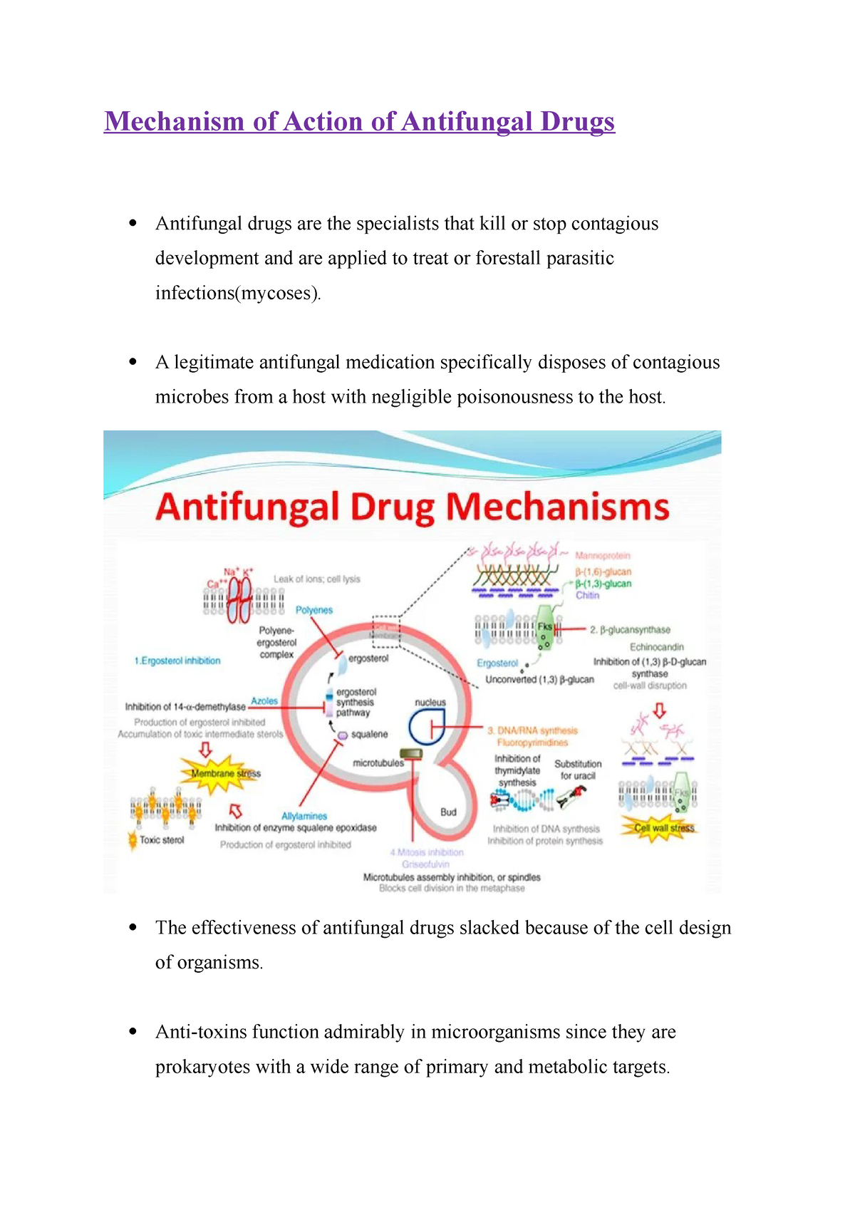 Mechanism of Action of Antifungal Drugs A legitimate antifungal