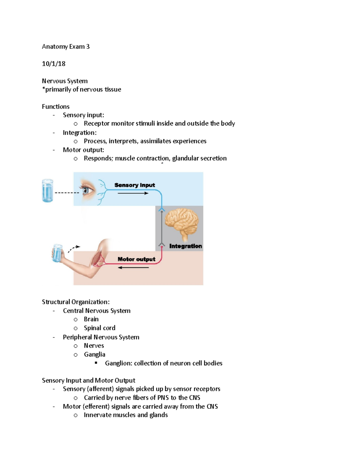 Exam 3 - Study Review Materials For Exam 3 Of BIOL 240. This Includes ...