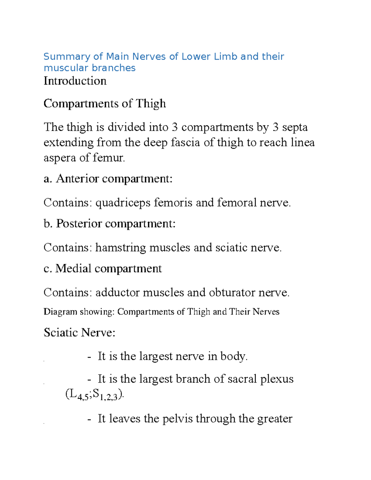 Summary - Main nerves of lower limb and their muscular branches - a ...