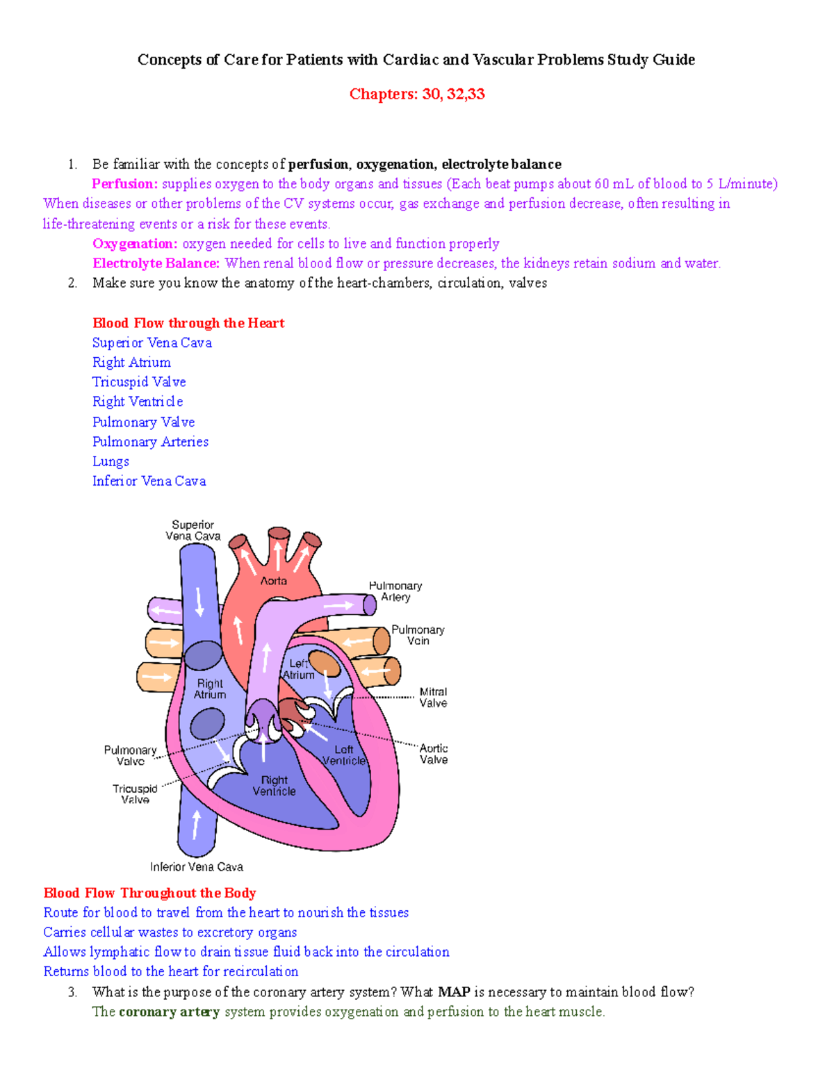 Concepts Of Care For Patients With Cardiac And Vascular Problems Study ...