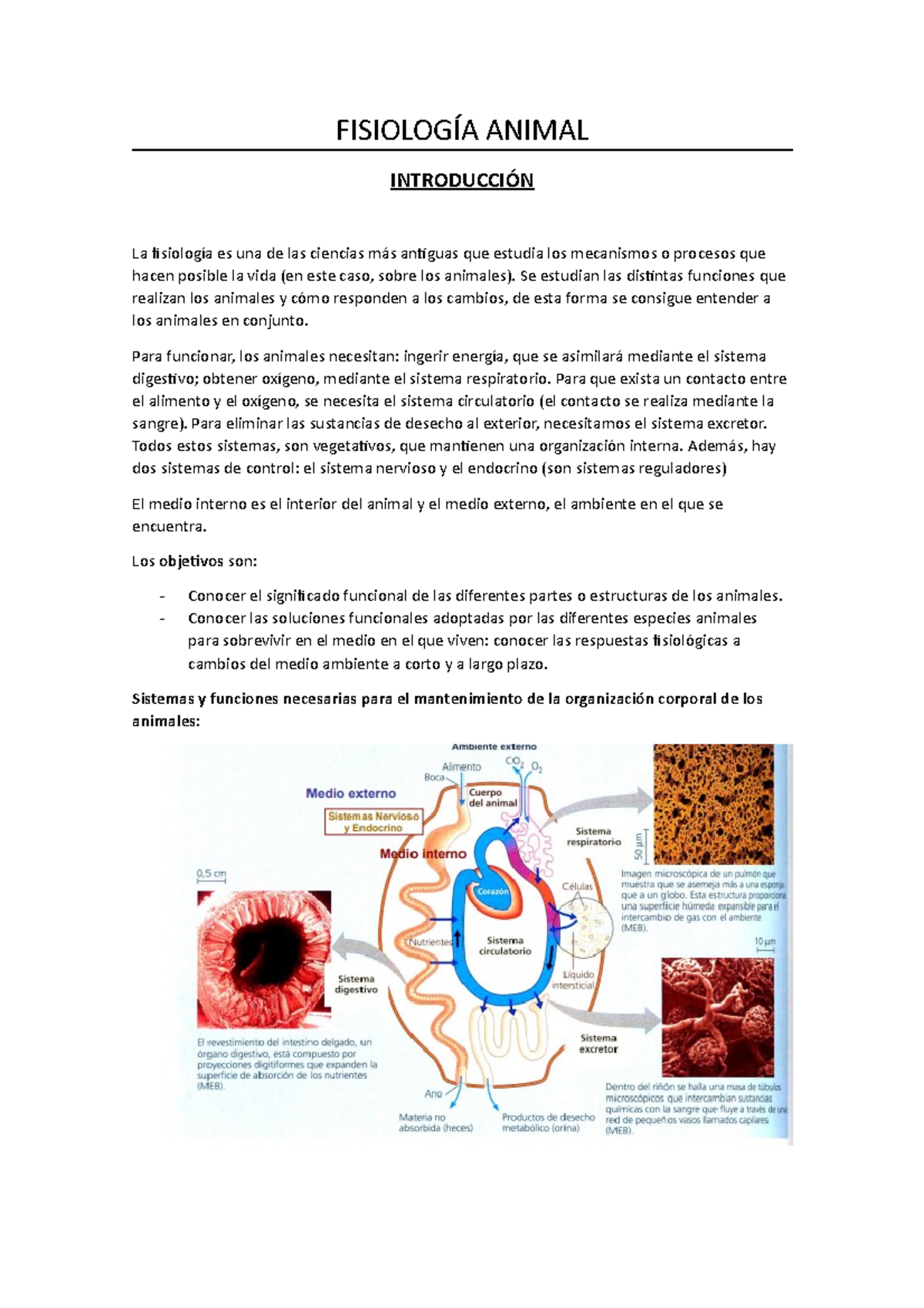 IntroducciÓn - Apuntes 1 - FisiologÍa Animal IntroducciÓn La Fisiología 