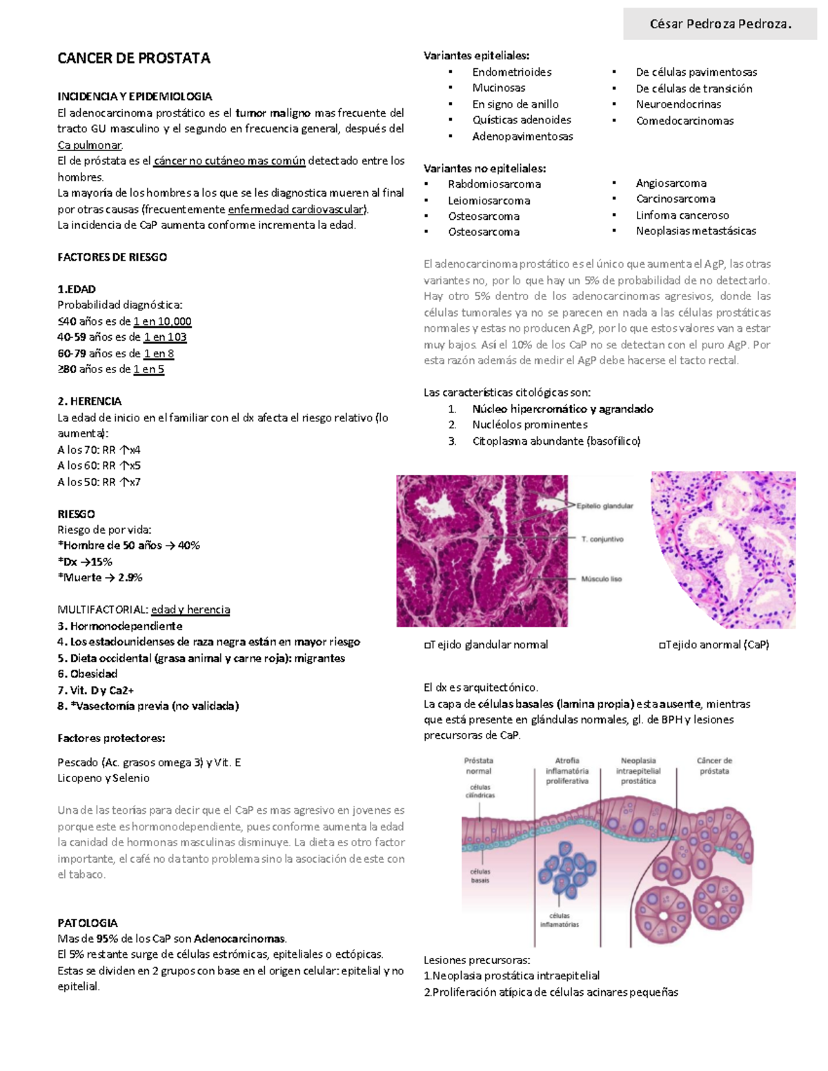 adenocarcinoma prostatico di tipo acinare gleason 3 4