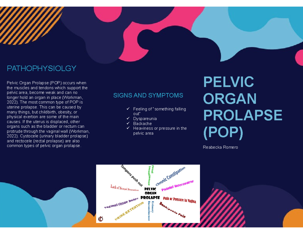 MDC3 Mod 1 Assignment - PATHOPHYSIOLGY Pelvic Organ Prolapse (POP ...