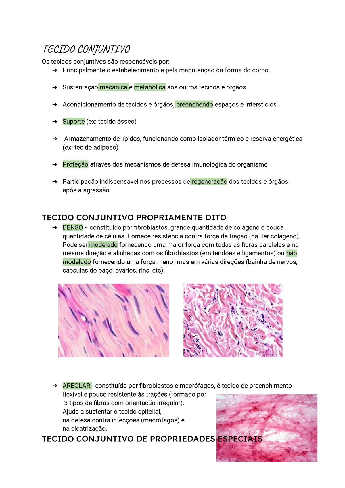 Tecido Conjuntivo - Resumo Citologia E Histologia - TECIDO CONJUNTIVO ...