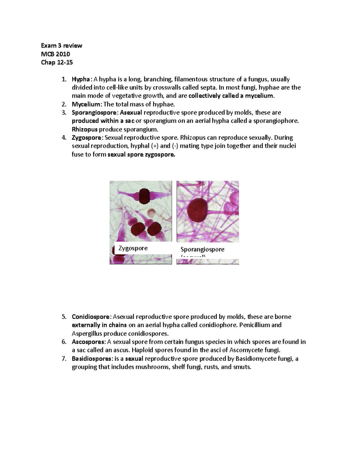 Exam3 review - Lecture notes( professor Daniel K) - Exam 3 review MCB ...