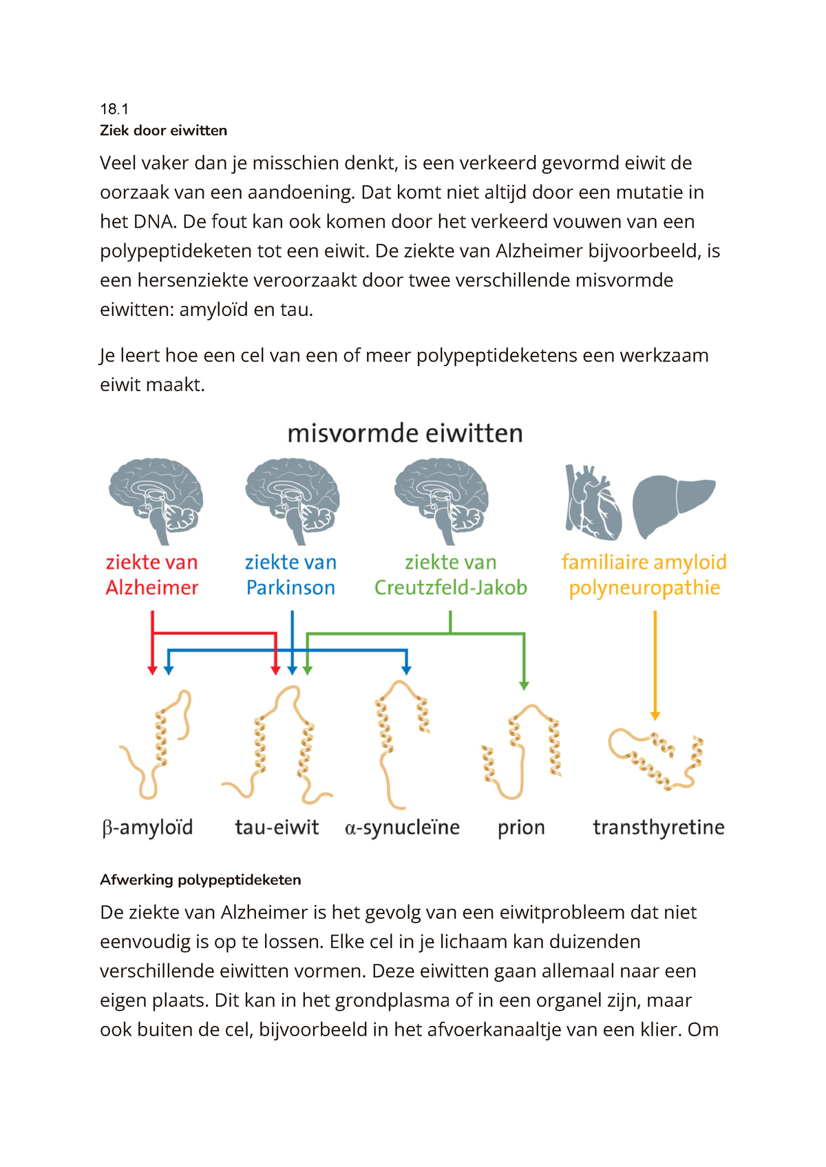 Samenvatting H18 Bio - Ziek Door Eiwitten Veel Vaker Dan Je Misschien ...