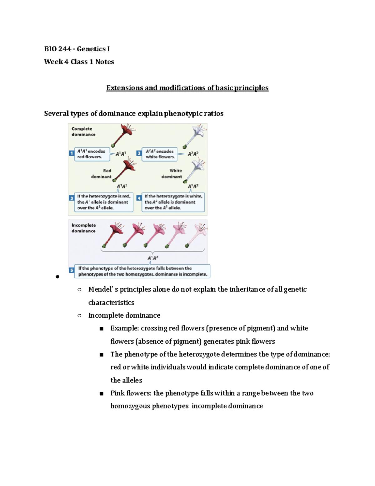 BIO 244 Week 4 Class 1 Notes Summer 2021 - BIO 244 - Genetics I Week 4 ...