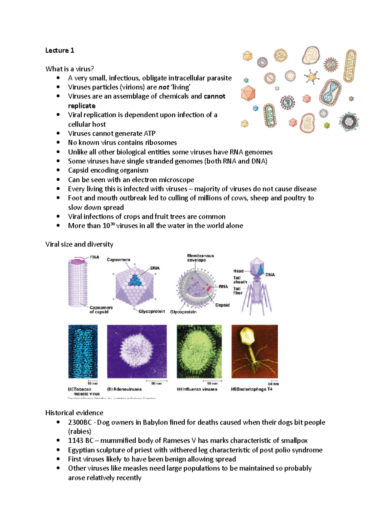 Lecture 1-5 - detailed notes for UoM - Lecture 1 What is a virus? A ...