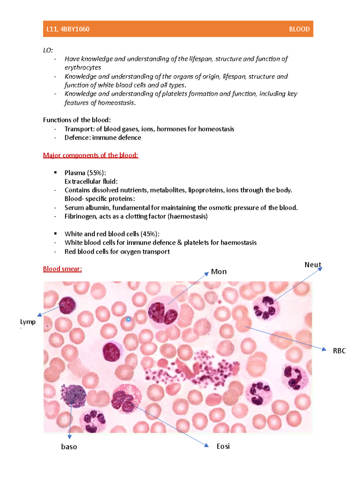 L11- blood - Lecture notes 11 - LO: Have knowledge and understanding of ...