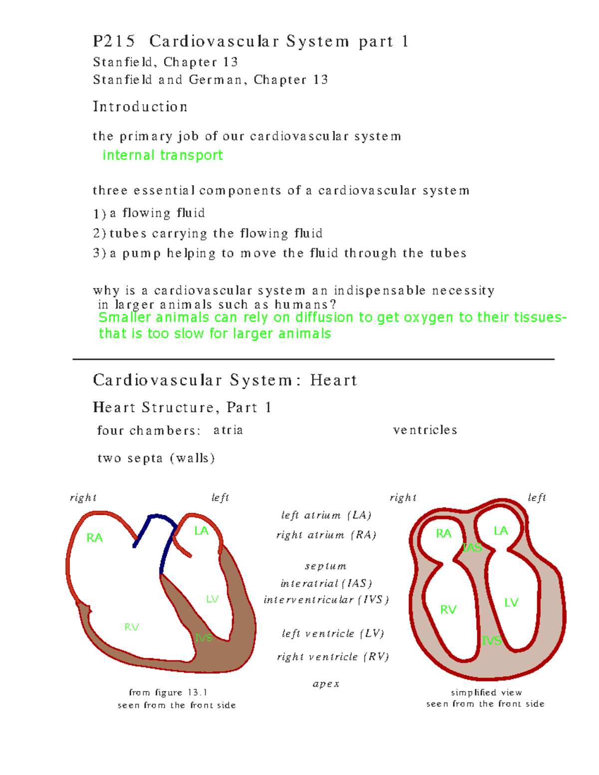 Cardiovascular System 1 - .... ) contract contractile cells in atria ...
