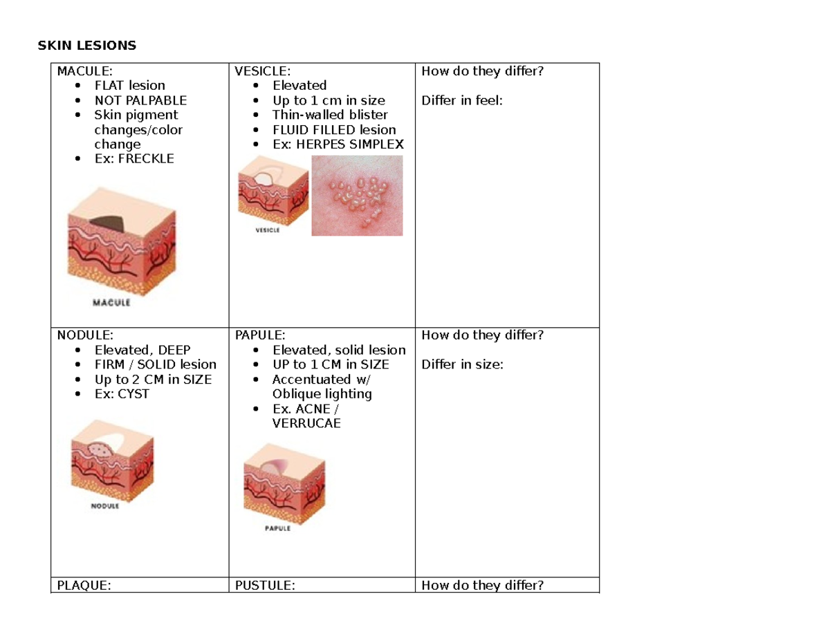 SG.quiz2.with pictures - SKIN LESIONS MACULE: FLAT lesion NOT PALPABLE ...
