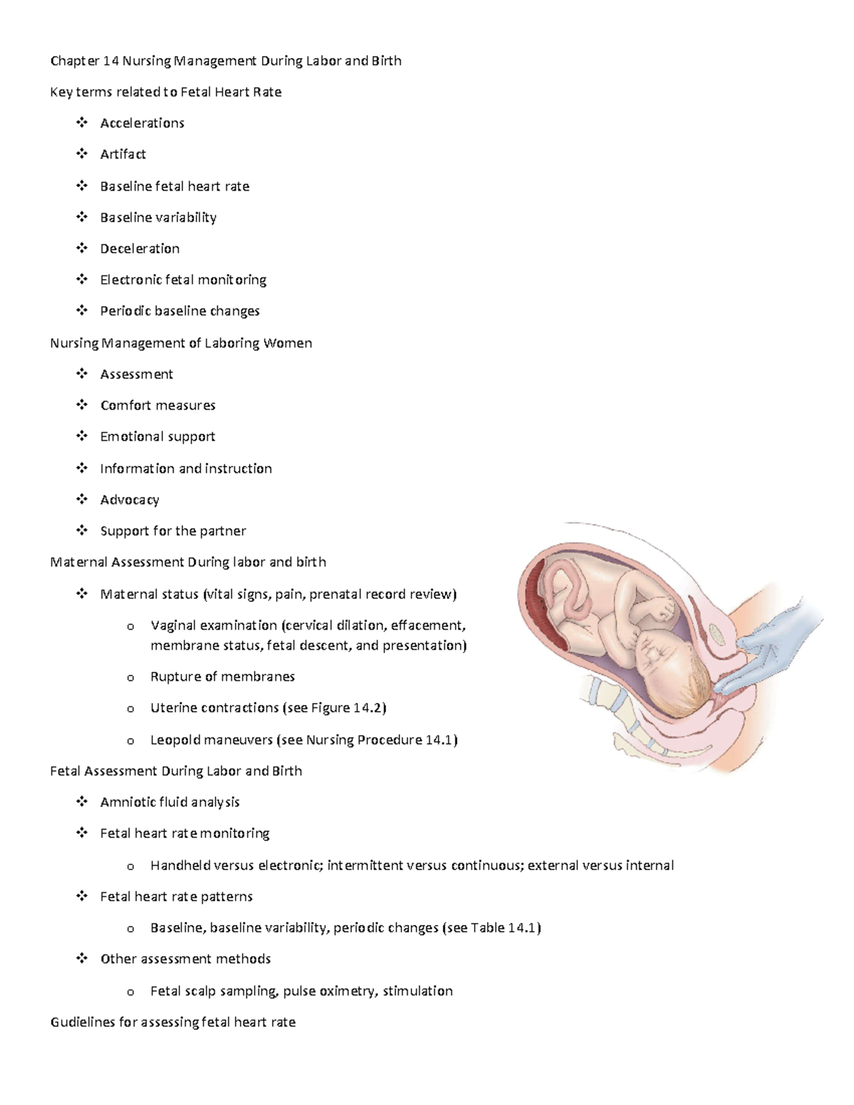 OB Chapter 14 Exam 3 - Marple - Chapter 14 Nursing Management During ...