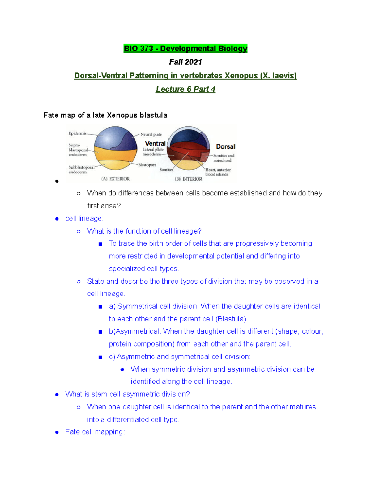 BIO 373 Lecture 6 Part 4 - Fall 2021 - BIO 373 - Studocu
