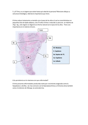 Cortes DE Microtomía - Atlas De Histolog ́ıa Vegetal Y Animal T ...