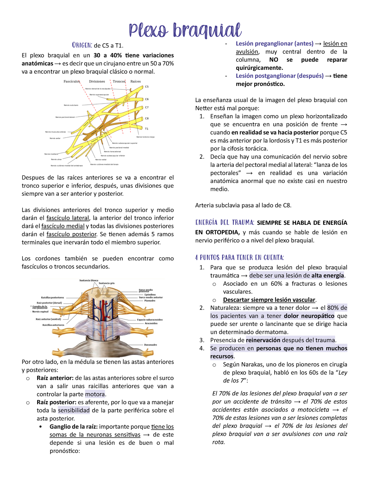 Plexo Braquial - Plexo Braquial Origen: De C5 A T1. El Plexo Braquial ...