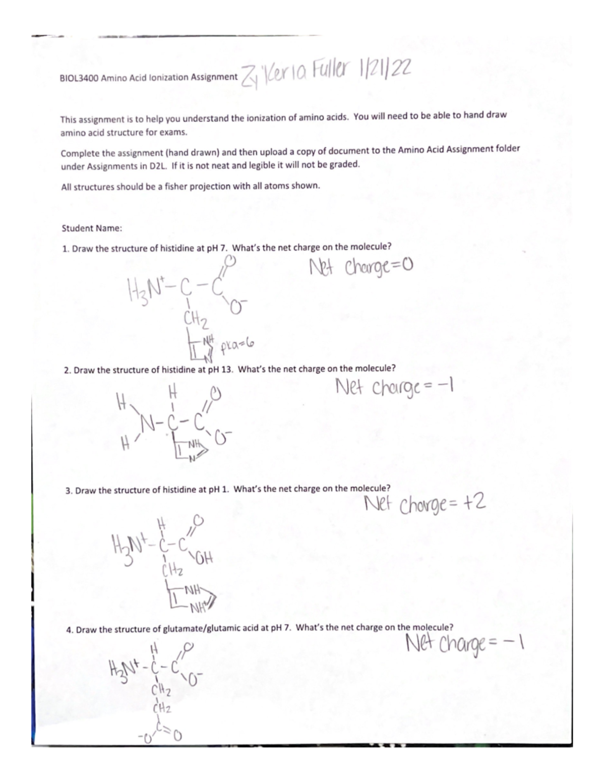 amino acid assignment pdf