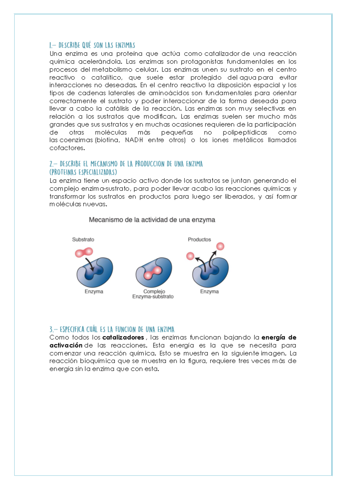 Enzimas Y Mecanismos De Acción Una Enzima Es Una Proteína Que Actúa Como Catalizador De Una