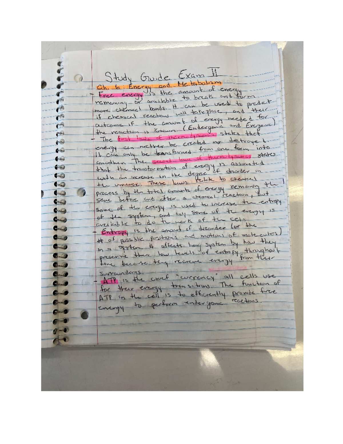 Study Exam 2 - BIOL 1107 - Studocu