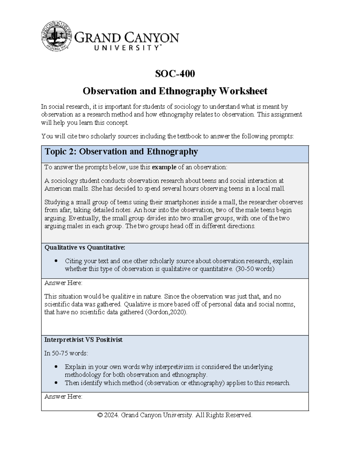 Observation and Ethnography Worksheet - This assignment will help you ...