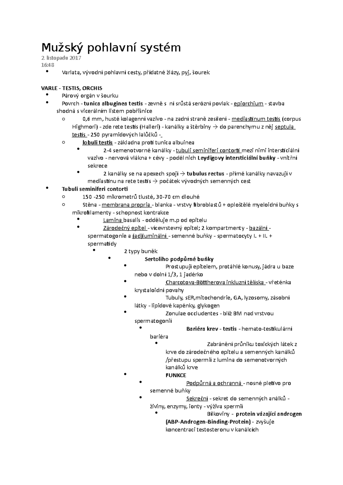 Histologie - mužsý pohl. systém - Mužský pohlavní systém 2. listopadu ...
