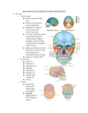 Anatomy Midterm Study Guide - Study Guide Chapter 1: Structure And ...