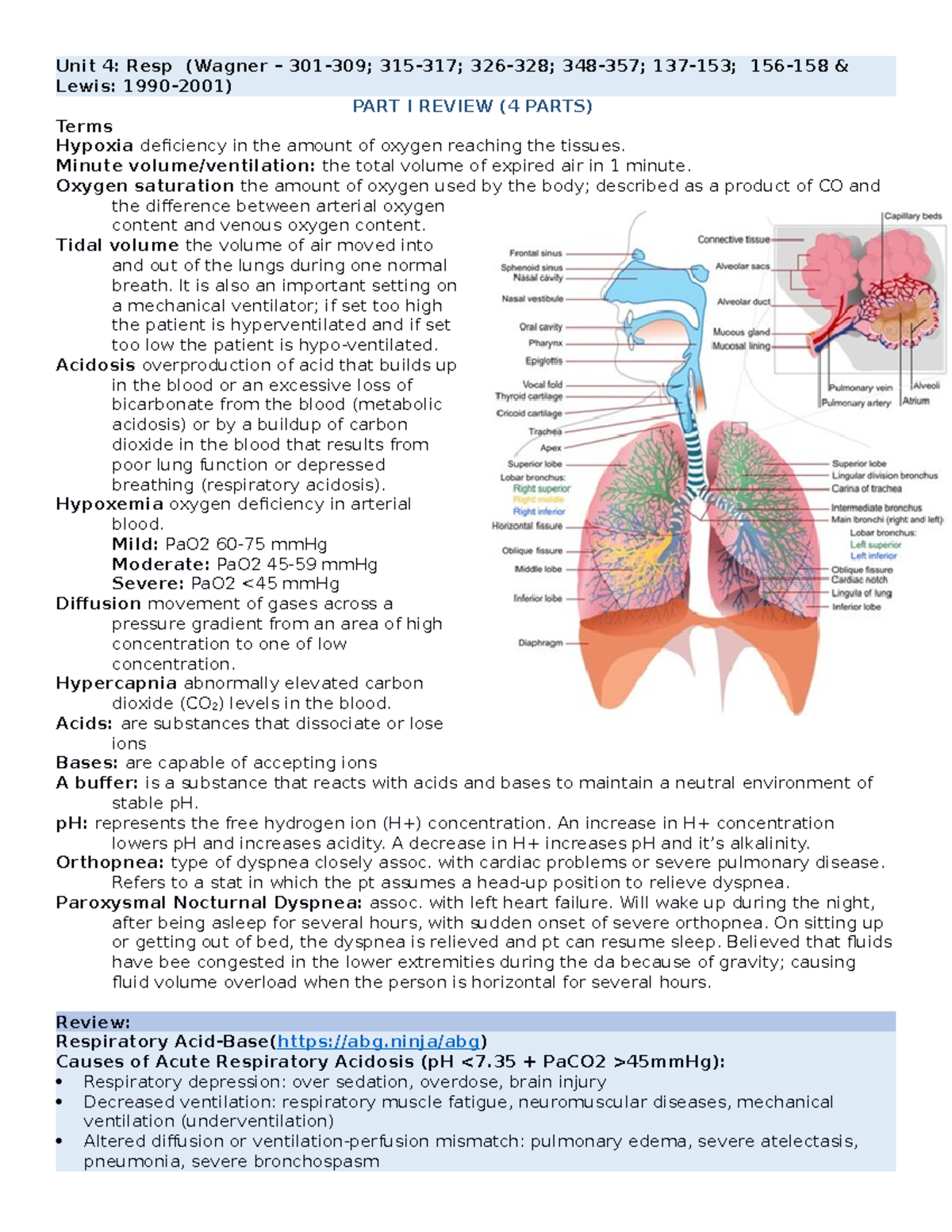 Advanced Respiratory Concepts - Unit 4: Resp (Wagner – 301-309; 315-317 ...