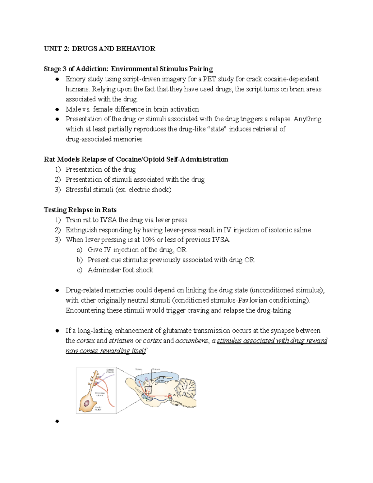 Drugs And Behavior UNIT 2 Study Guide - UNIT 2: DRUGS AND BEHAVIOR ...