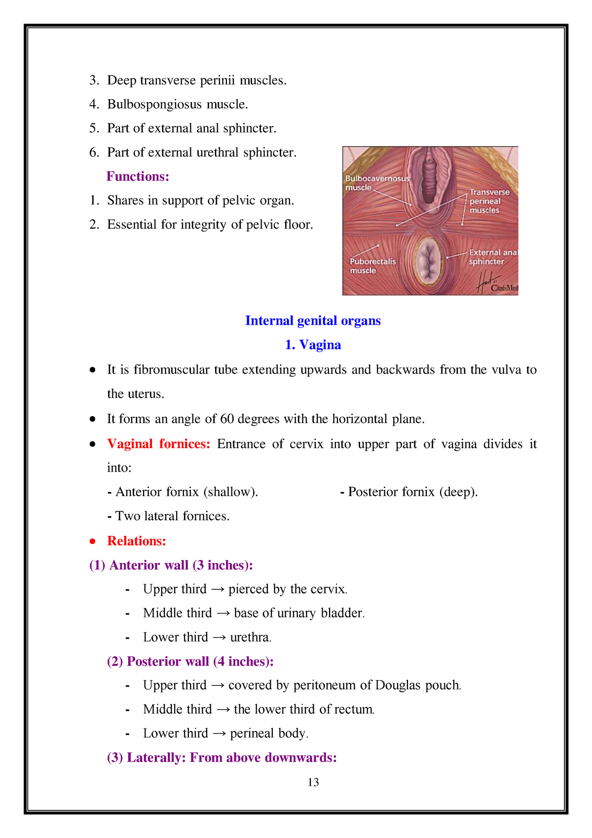 Reproductive 1 13 15 Female Genital Embryology And Normal Developement Of Female Genital