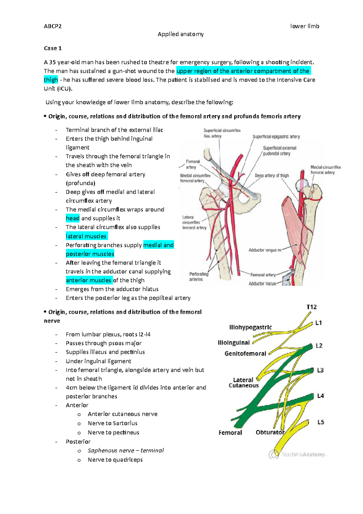 Applied anatomy of the lower limb - ABCP2 lower limb Applied anatomy ...