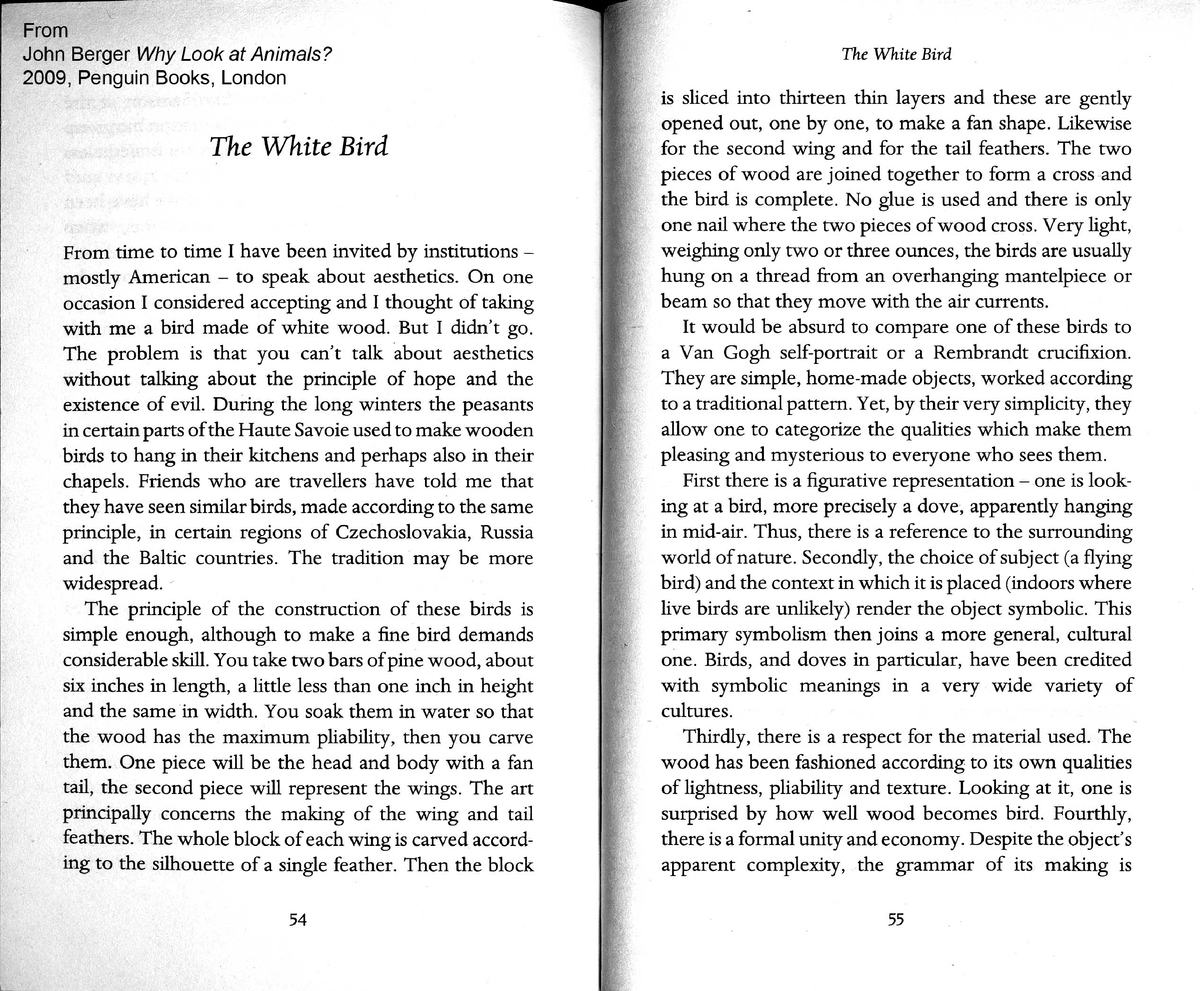 the-white-bird-by-john-berger-reflective-essay-bachelor-of-science