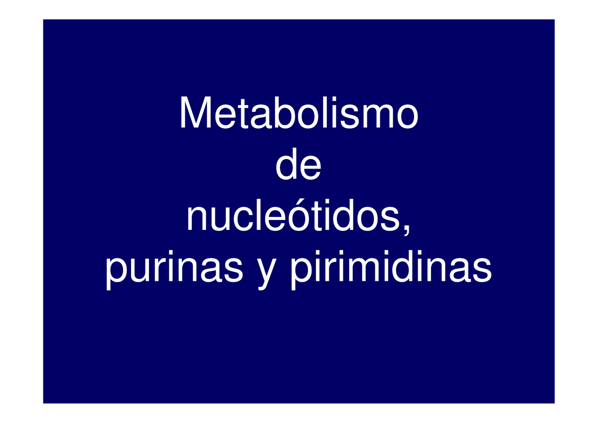 Metabolismo De Purinas Y Pirimidinas (14-09-11) - Metabolismo De ...