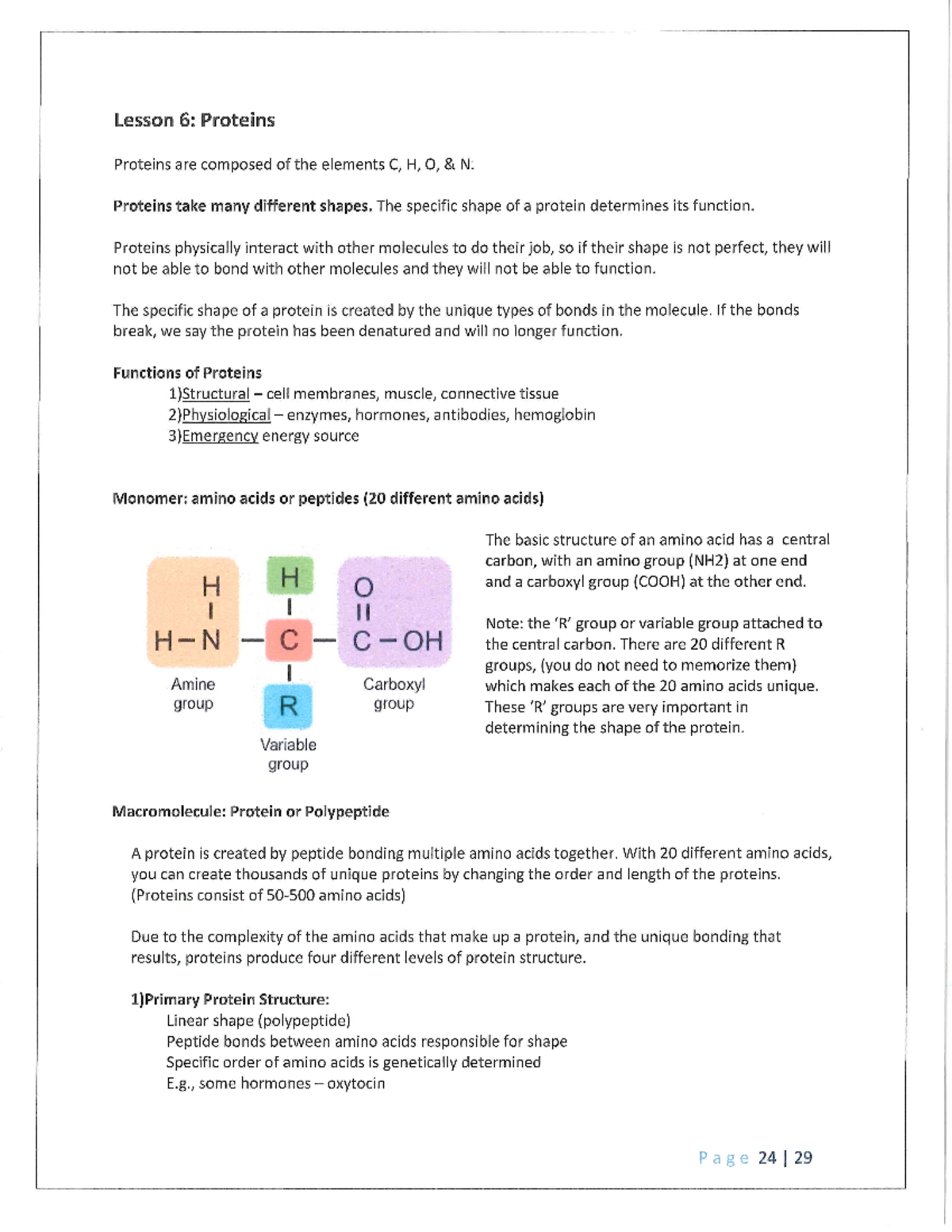 Lesson 6 Proteins - dfgdfgdfg - Studocu