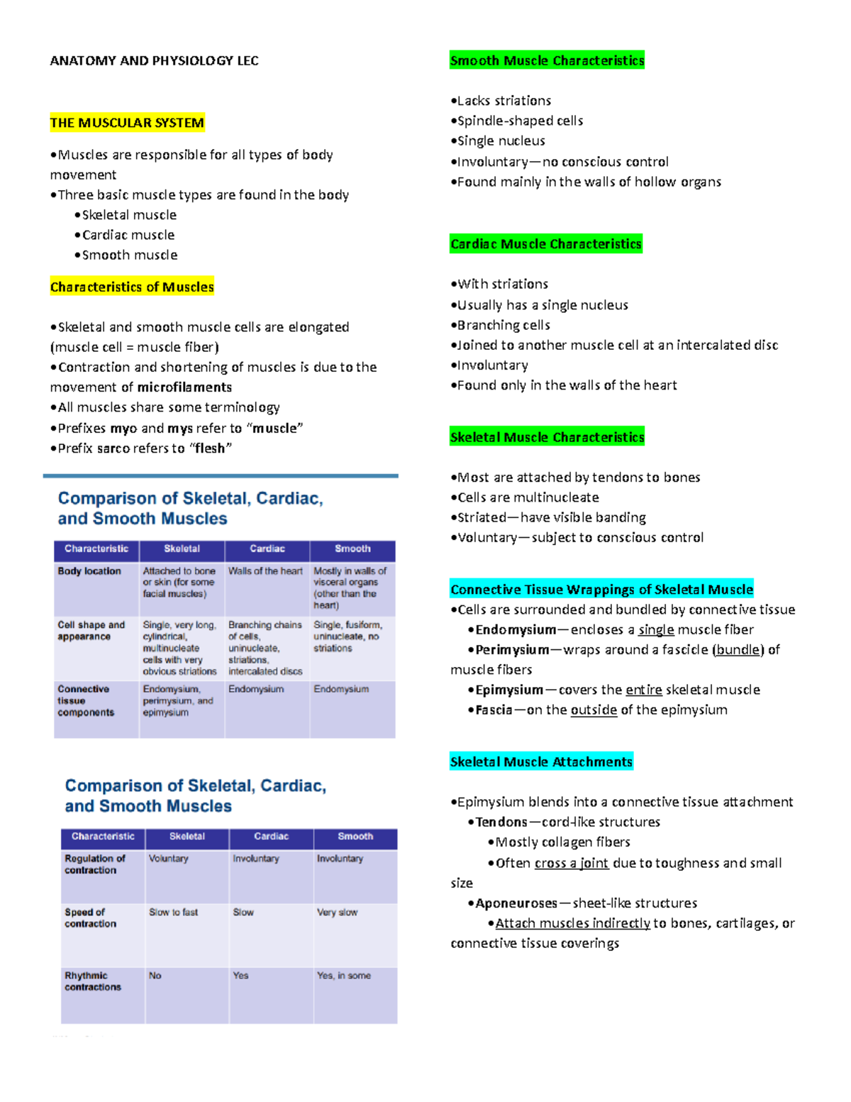 Nursing - Anatomy and Physiology - Lesson-8 - ANATOMY AND PHYSIOLOGY ...