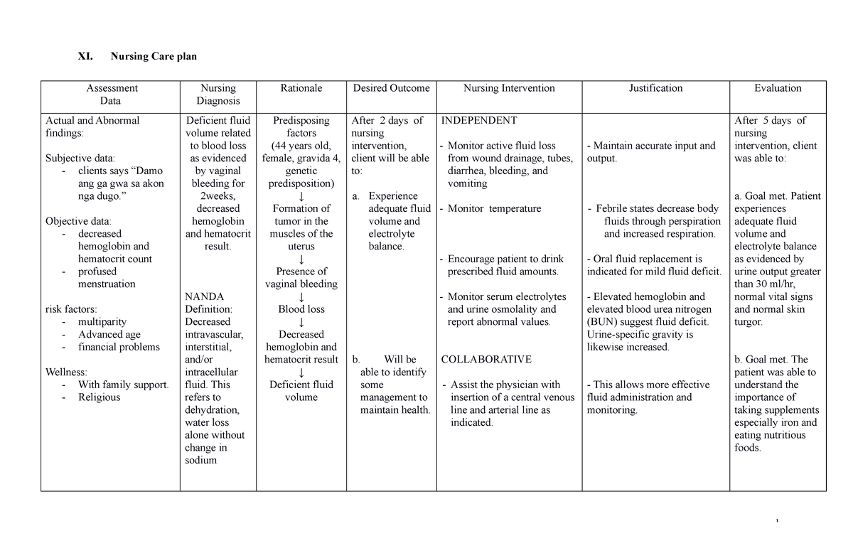 27323168-nursing-care-plan-uterine-myoma-xi-nursing-care-plan