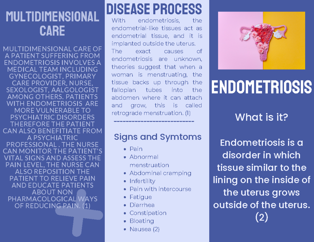 Blue Modern Minimalist Medical Services Brochure - ENDOMETRIOSIS ...