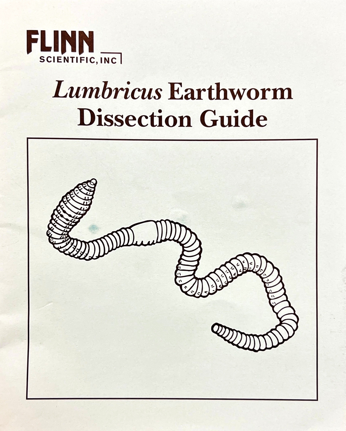 Unit 5 - Earthworm Dissection Manual - FLINN SCIENTIFIC, INC Lumbricus ...
