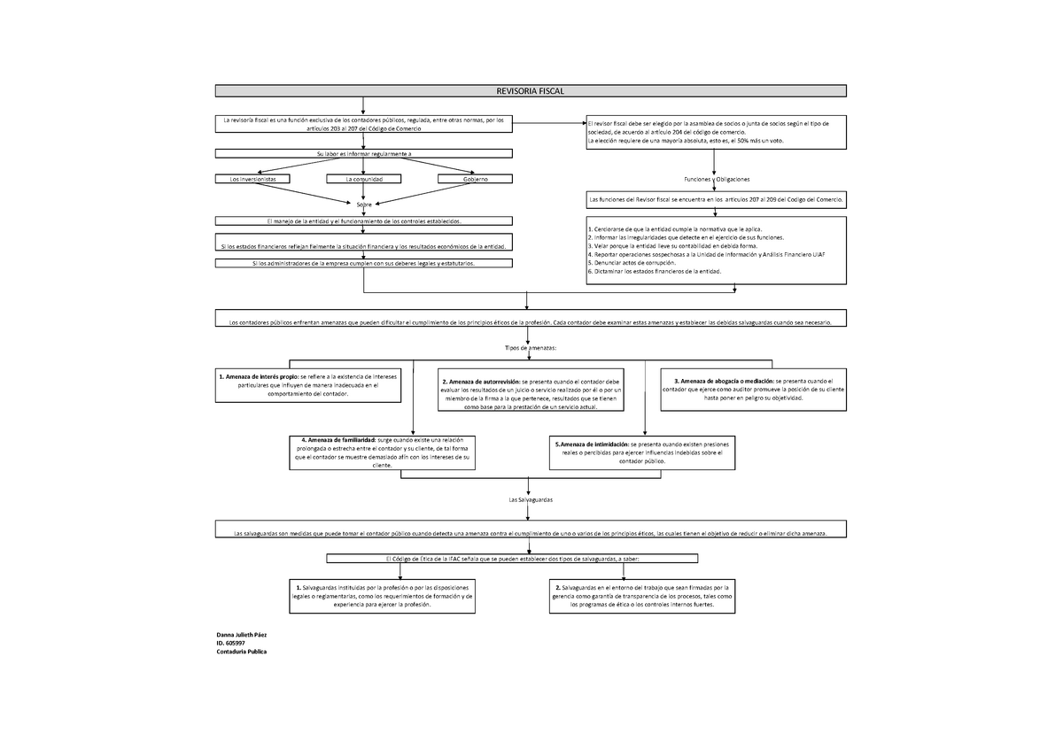 Mapa Conceptual Revisoria Fiscal Danna Julieth Páez Id 605997