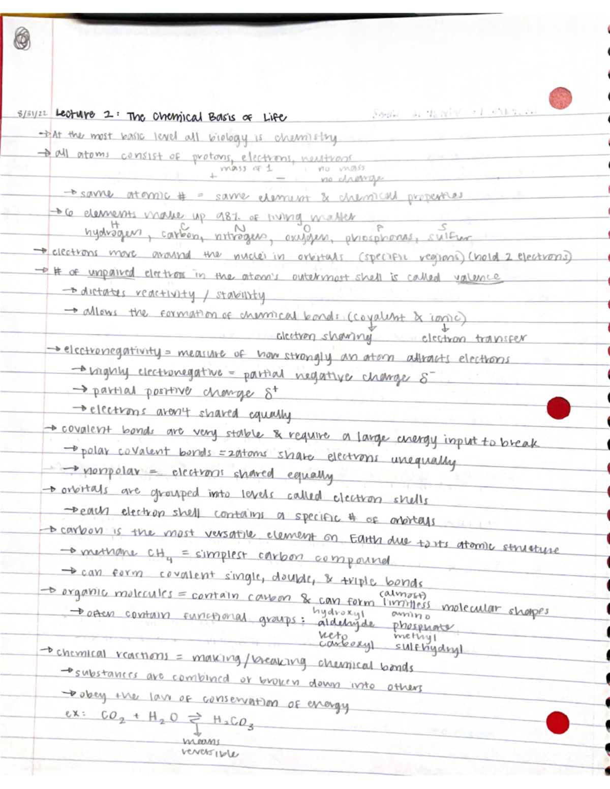 Lecture 2- the chemical basis of life - / Lecure 2 Te Ceical Ba 'i Lif ...