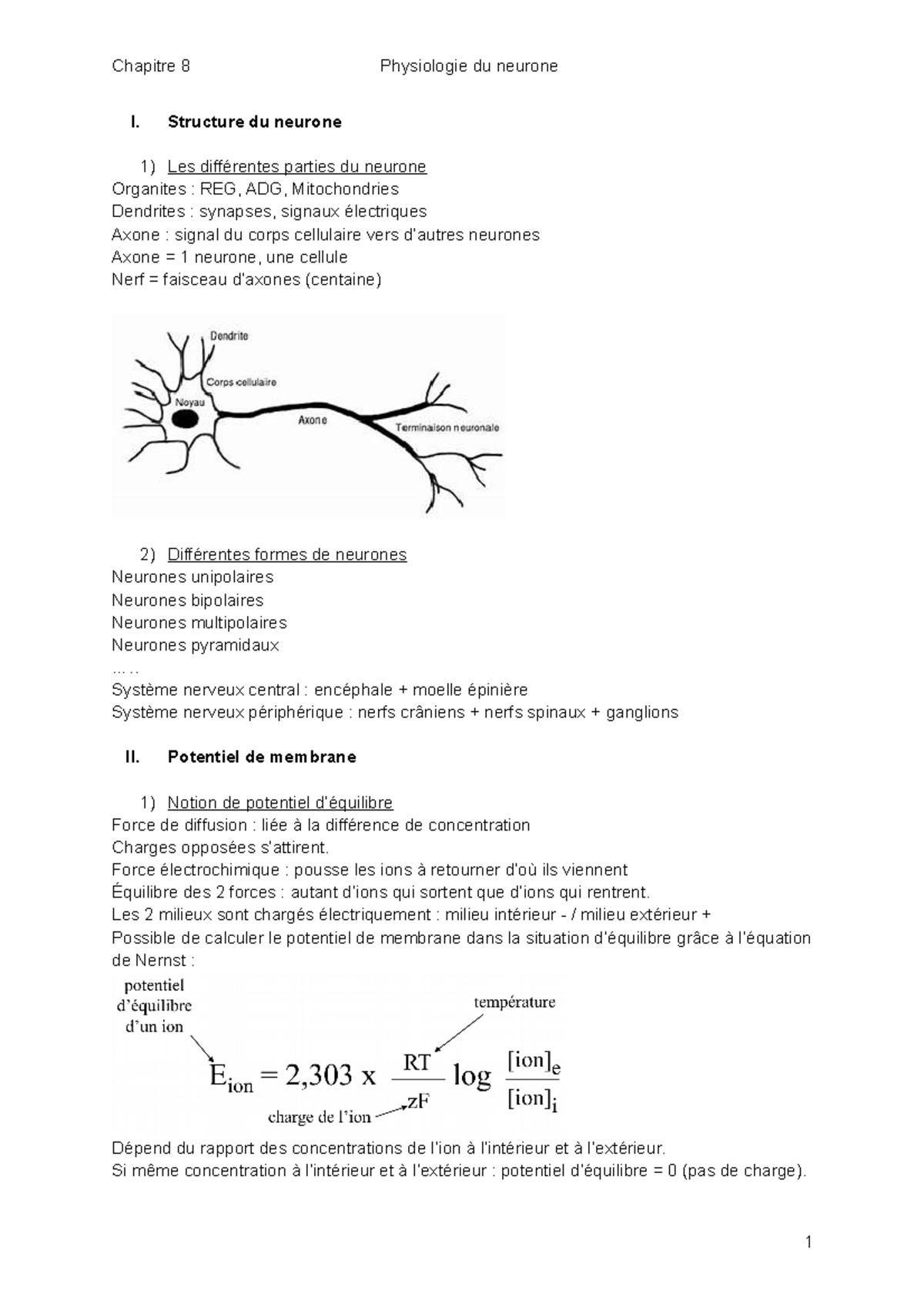 chapitre-8-physiologie-du-neurone-i-structure-du-neurone-les