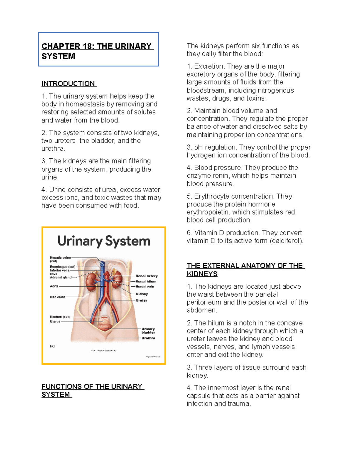Anaphy Chapter 18 CHAPTER 18 THE URINARY SYSTEM The kidneys perform