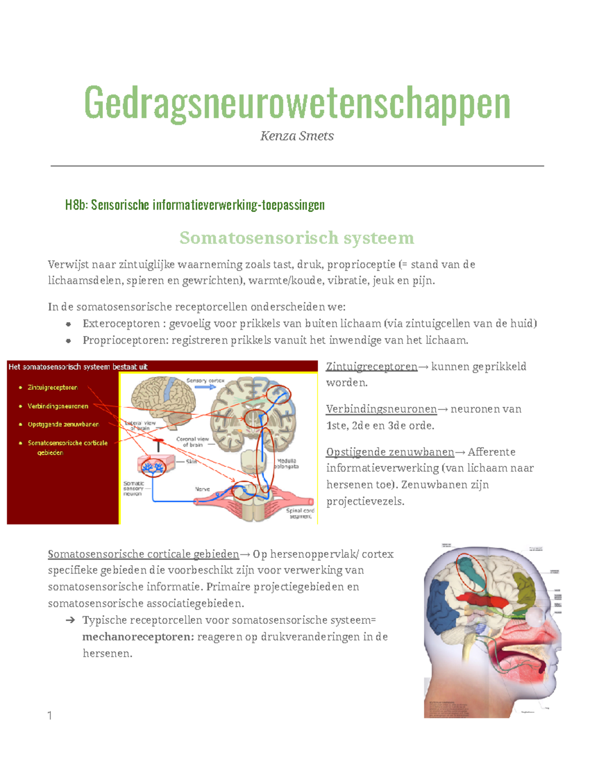 Gedragsneurowetenschappen: Hoofdstuk 8B Sensorische ...