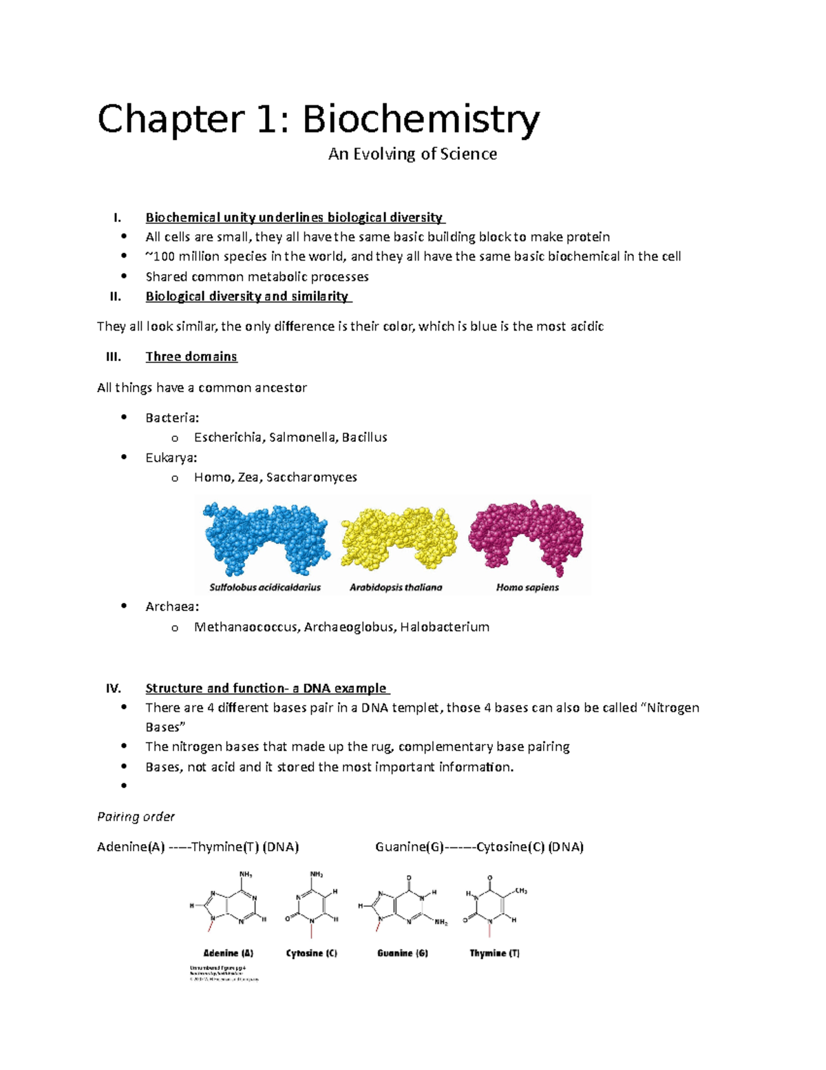 meaning of biochemical essay