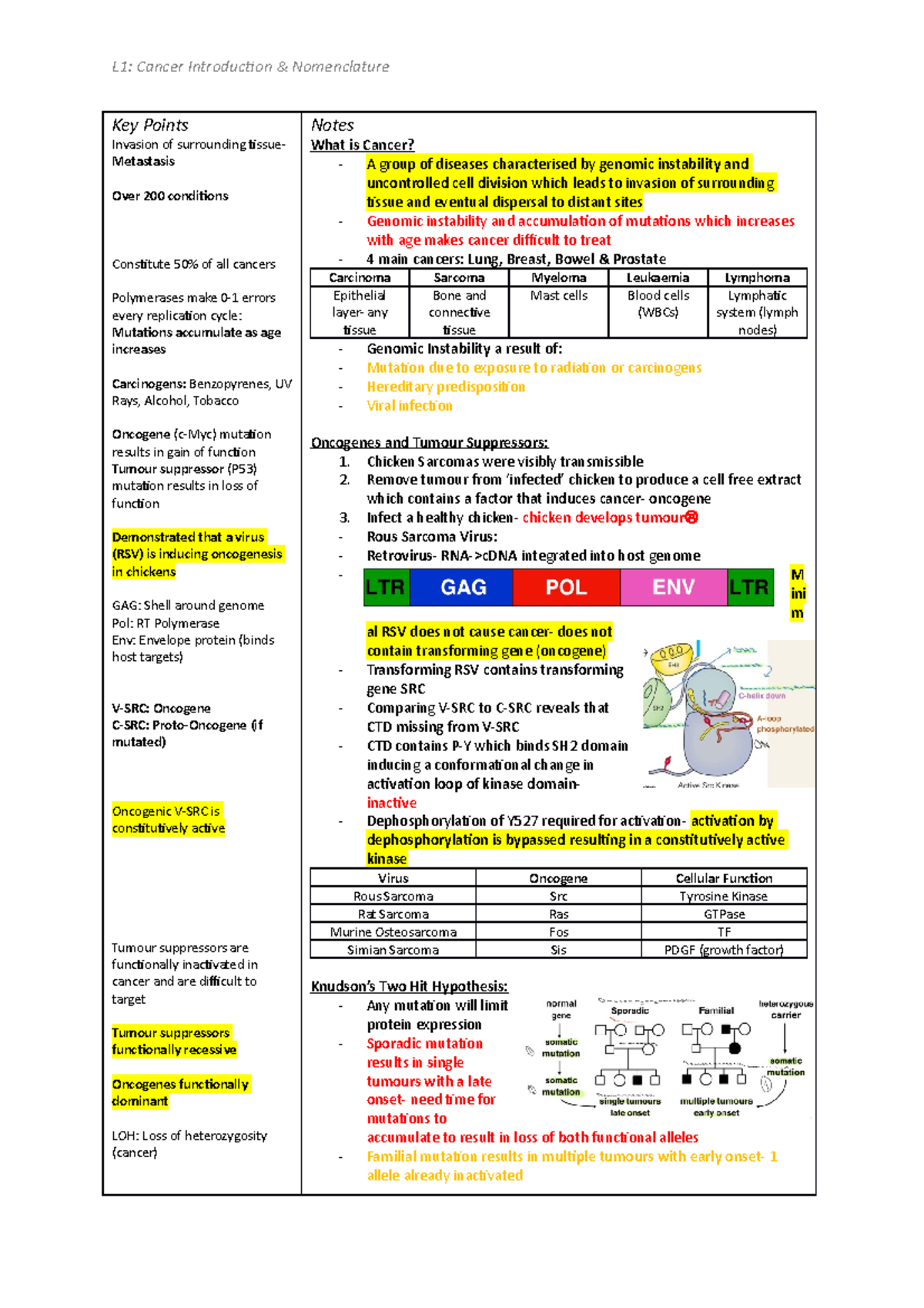 L1 Introduction - L1: Cancer Introduction & Nomenclature Key Points ...