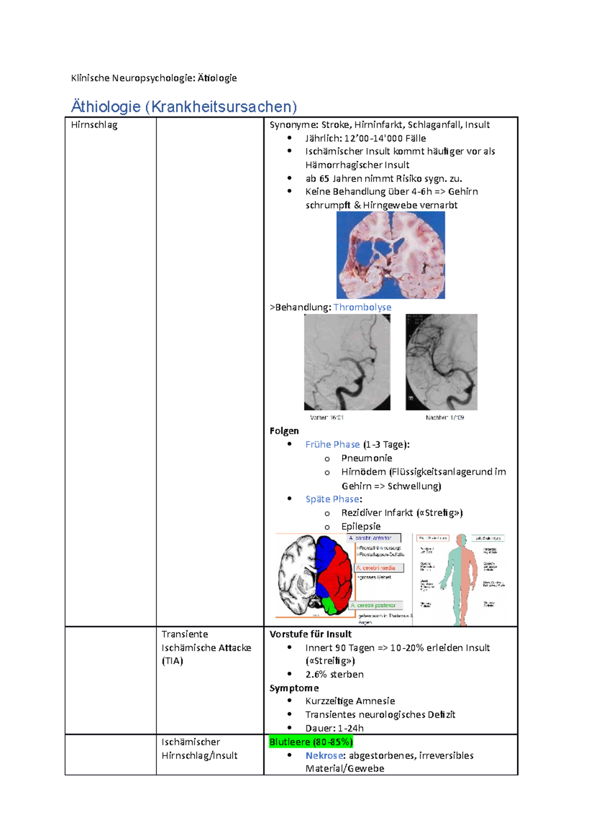 Ätiologie - HS2021; Klinische Neuropsychologie; Vorlesungsnotizen Mit ...