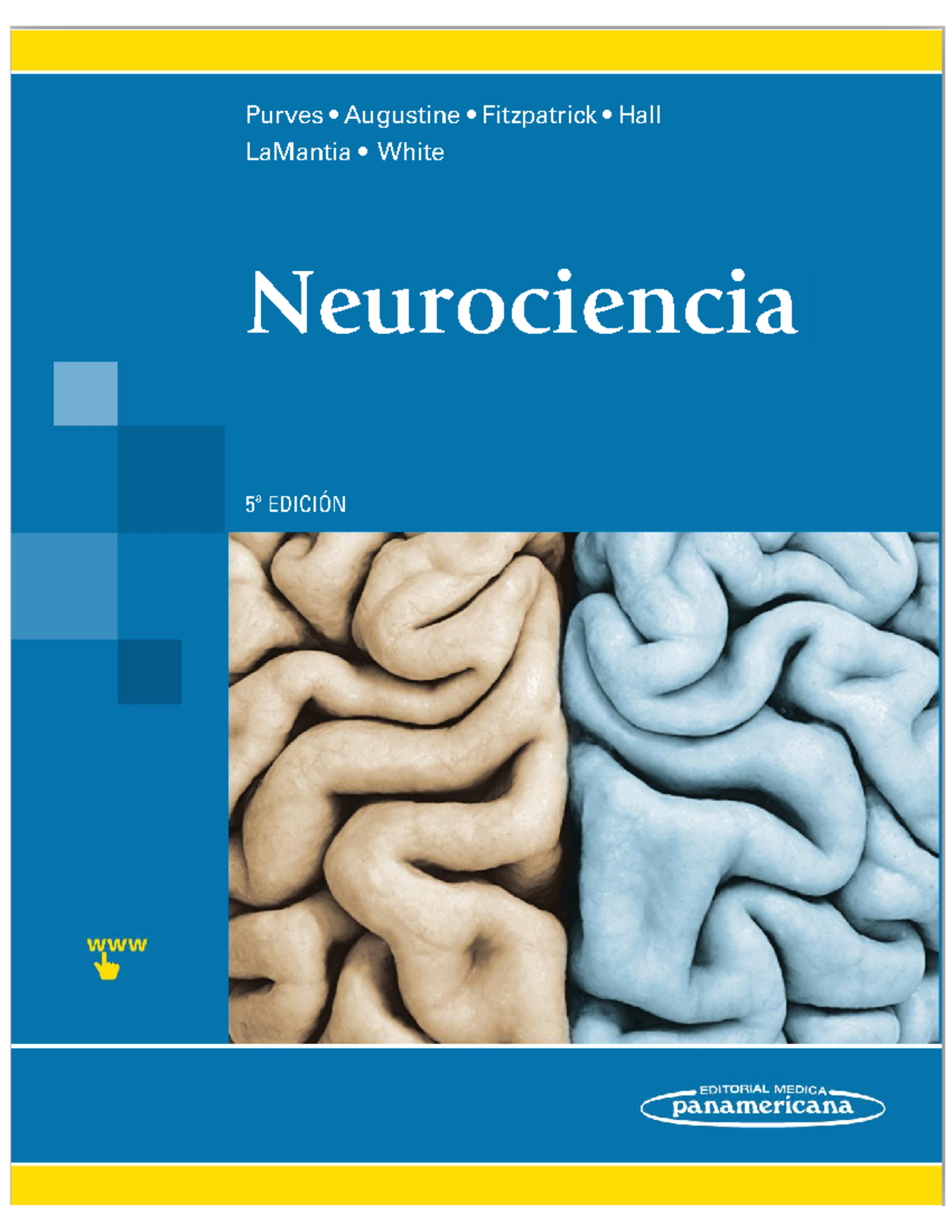 Neurociencia Señales - Anatomía Y Fisiología Animal - Purves ...