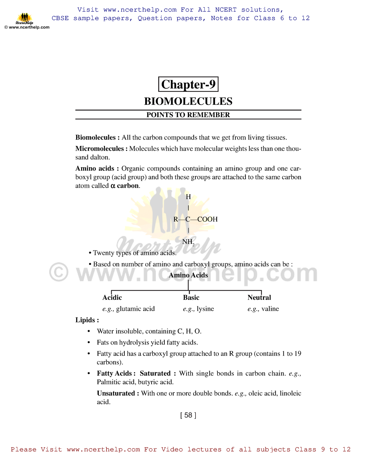 Biology Notes For Class 11h Chapter 9 - [ 58 ] Chapter- BIOMOLECULES ...