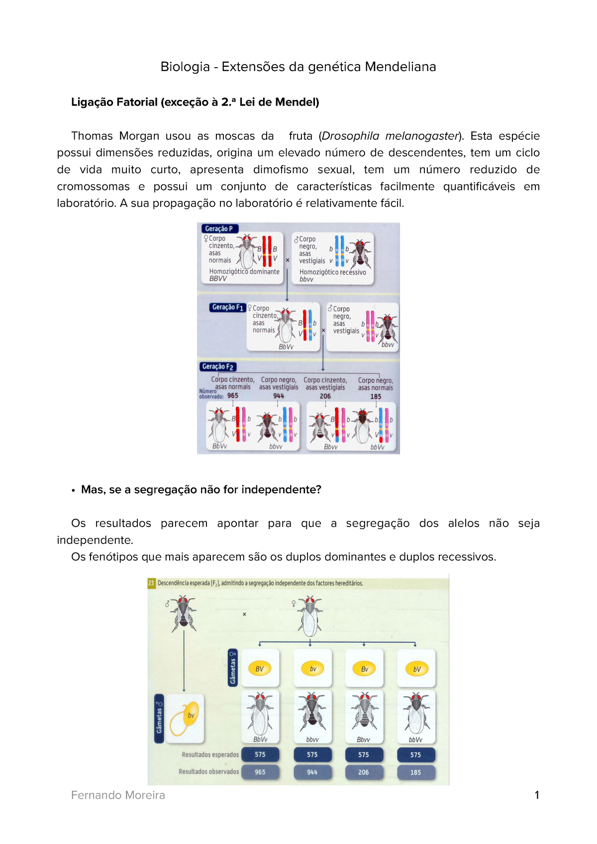 Unidade 2 - 3- Extensões Da Genética Mendeliana 2 - Biologia ...